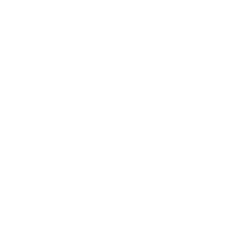 back pain icon image medical center greenville sc